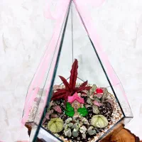 عشق در شیشه ، دنیای کوچک سبز