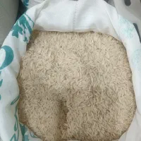 برنج ندا دابودشت (تا ۳۰ آذرماه)|خوردنی و آشامیدنی|شهریار, شهریار|دیوار