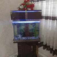 آکواریوم