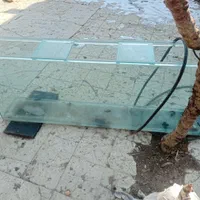 انواع آکواریوم و ماهی و لوازمات|ماهی|کبودرآهنگ, |دیوار