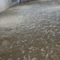 کود بوقلمون گوشتی