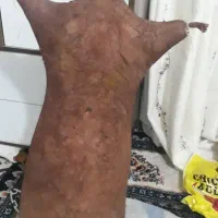 تعدای مشک|ظروف نگهدارنده، پلاستیکی، یکبارمصرف|کشکوئیه, |دیوار