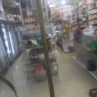 نیروی کار