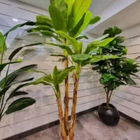 نخل درخچه|گل مصنوعی|تهران, مشیریه|دیوار
