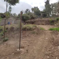 زمین مسکونی داخل بافت به متراژ 590 متر رستم آباد|فروش زمین و ملک کلنگی|رستمآباد, |دیوار