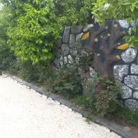 اجاره روزانه خانه باغچه مبله و سالانه...