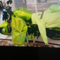 کوله پشتی کوهنوردی حرفه ای ضد اب
