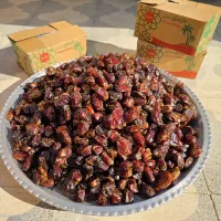 فروش خرمای کَبکاب/قصب زاهدی