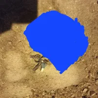 دسته کلید پیدا شده محدوده فاز چهار