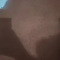 تعدادی موکت و چیزهای سالم رایگان نیت خیر