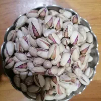 پسته اجیلی محصول 1404|خوردنی و آشامیدنی|مشهد, شهید رضوی|دیوار