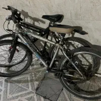 دو عدد دوچرخه