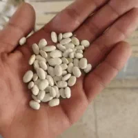 لوبیا سفید درشت مغز دار