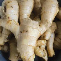 عصاره زنجبیل به قیمت عمده