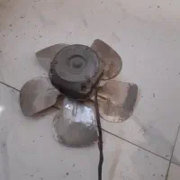 فن یخجالی با پروانه