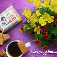 فروشنده خانم حرفه ای(پاره وقت)