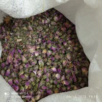فروش غنچه گل محمدی تمیز امسال|گل و گیاه طبیعی|شیراز, فرهنگ شهر|دیوار