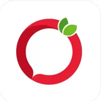 طراحی سایت سازگار با اینترنت ملی + اتصال به ترب