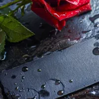 سیمکارت رند ایرانسل 09386055005