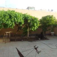 فروش-ویلایی-شمالی-علامه