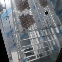 هچ دستگاه جوجه کشی ۱۰۰۸