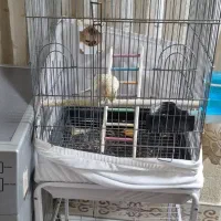 قفس پرنده با پایه|لوازم جانبی حیوانات|تهران, بیسیم|دیوار