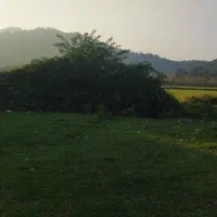 معاوضه زمین جاده ماسوله با خونه|فروش زمین و ملک کلنگی|ماکلوان, |دیوار