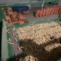 بادام زمینی|عمدهفروشی|اسلام آباد, |دیوار