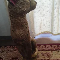 مجسمه