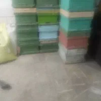 فروش کندوی خالی