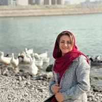 درخواست نیرو