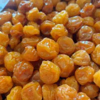 الوبخارا زرد طلایی بوانات|خوردنی و آشامیدنی|شیراز, ریاستی|دیوار