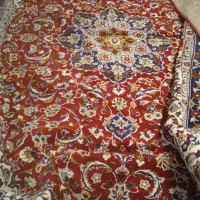 فرش ۶ متری تمیز و سالم|فرش|بهار, |دیوار