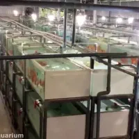 تجهیزات کامل وحرفه ای سالن تکثیر وپرورش ماهی زینتی