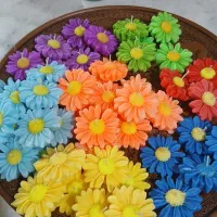 شمع بابونه.گیفت .