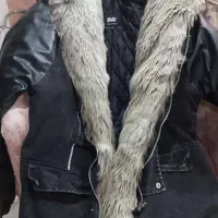 پالتو اسکیمو