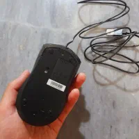 کیبورد و ماوس ( فروش تکی یا دوتایی)|قطعات و لوازم جانبی رایانه|سردشت, |دیوار