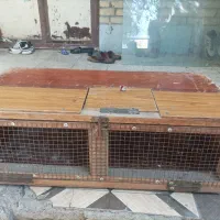 دو عدد قفس راهکشی چوبی