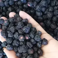 آلبالو خشک|خوردنی و آشامیدنی|قم, شهرک مهدیه|دیوار