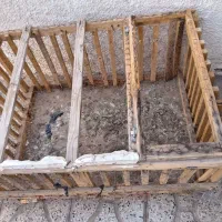 عاقول|پرنده|تربت جام, کشتارگاه|دیوار