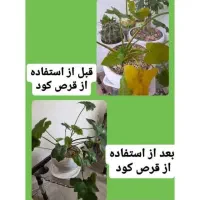 قرص کود|گل و گیاه طبیعی|تهران, افسریه جنوبی|دیوار