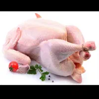فیله مرغ