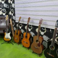 گیتار ساز ویولن|گیتار، بیس، امپلیفایر|پارس‌آباد, |دیوار