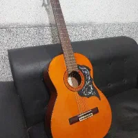 گیتار اریا ak80