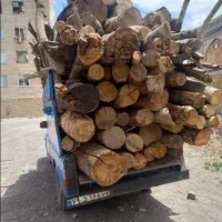 قطع درخت در داخل و اطراف مشهد خرید درخت نقدی|خدمات باغبانی و درختکاری|مشهد, الهیه|دیوار