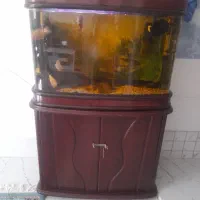اکواریوم