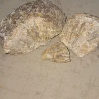 سنگ|کلکسیون اشیاء عتیقه|نورآباد ممسنی, |دیوار