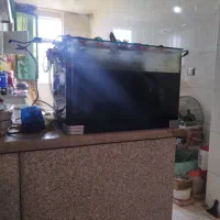 اکواریوم