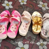 کفش ایمنی و اسپرت با قیمتهای باور نکردنی|کیف، کفش، کمربند|شیراز, شیخ علی چوپان|دیوار