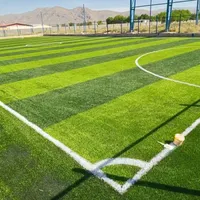 چمن مصنوعی فوتبالی